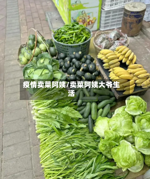 疫情卖菜阿姨/卖菜阿姨大爷生活-第2张图片