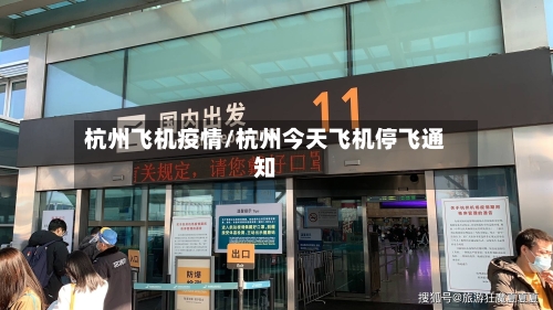 杭州飞机疫情/杭州今天飞机停飞通知-第2张图片