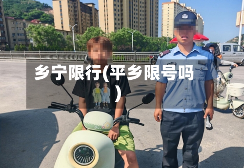 乡宁限行(平乡限号吗)