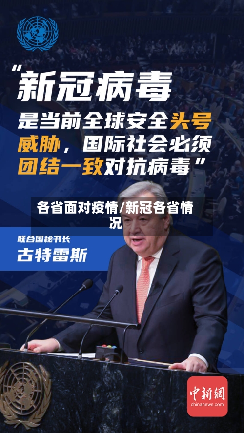 各省面对疫情/新冠各省情况