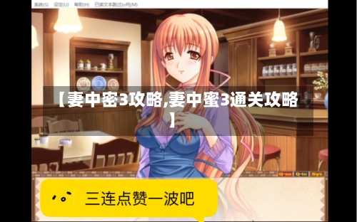 【妻中密3攻略,妻中蜜3通关攻略】-第2张图片